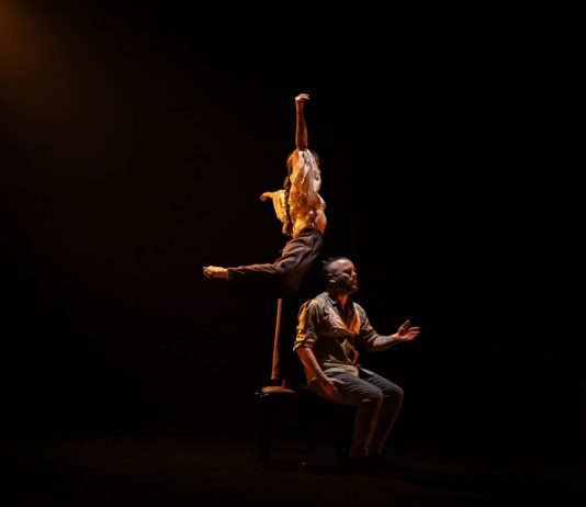 Sostenidor Teatre Arniches Abril en Danza