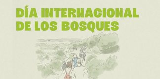 Visita guiada bosques Clot de Galvany
